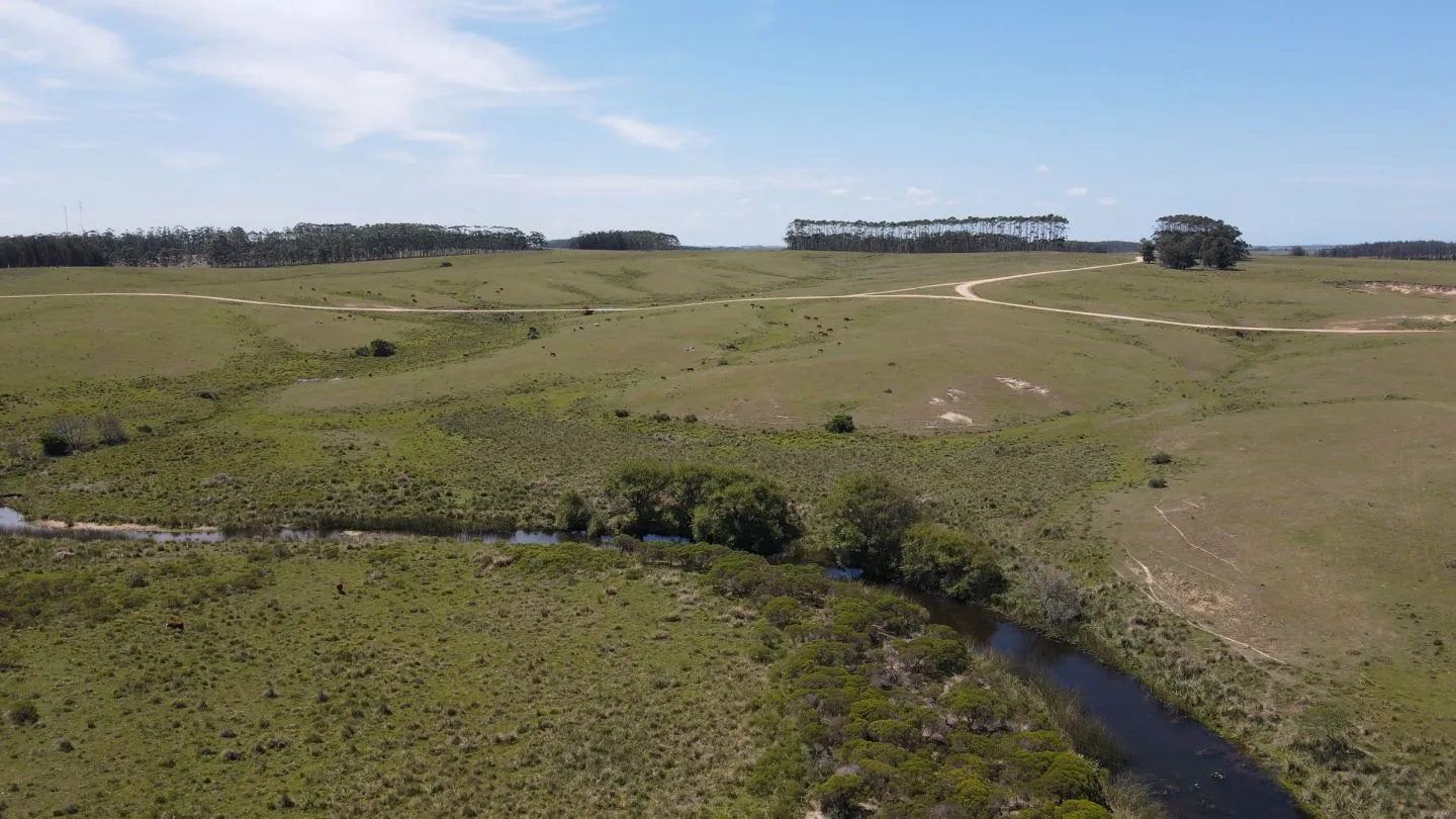 Chacra / Campo 170 ha en José Ignacio — foto 8