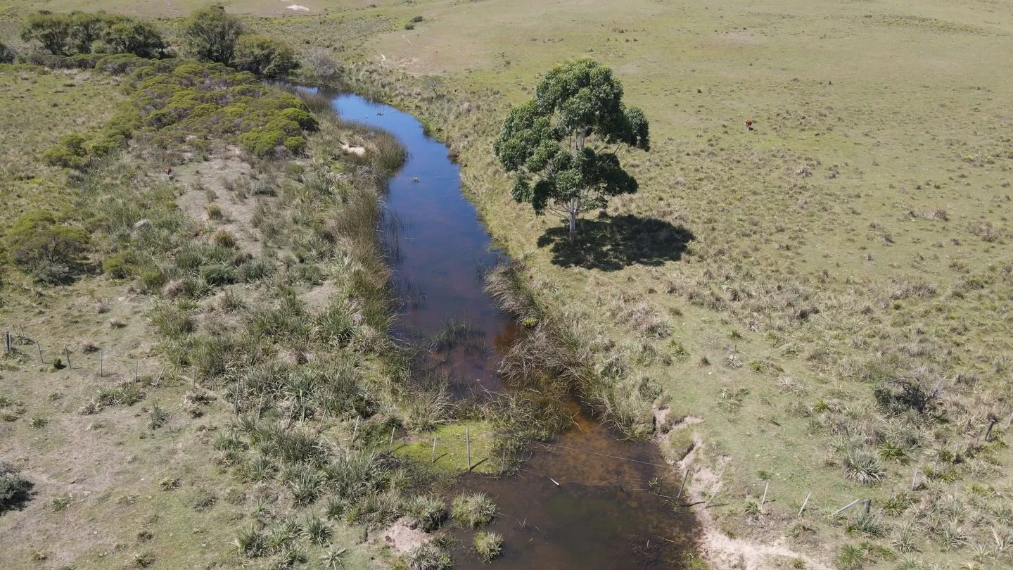 Chacra / Campo 170 ha en José Ignacio — foto 9