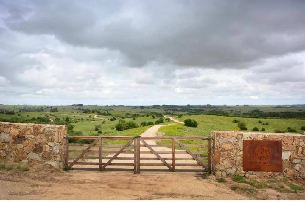 Chacra / Campo 5 ha en José Ignacio — foto 1