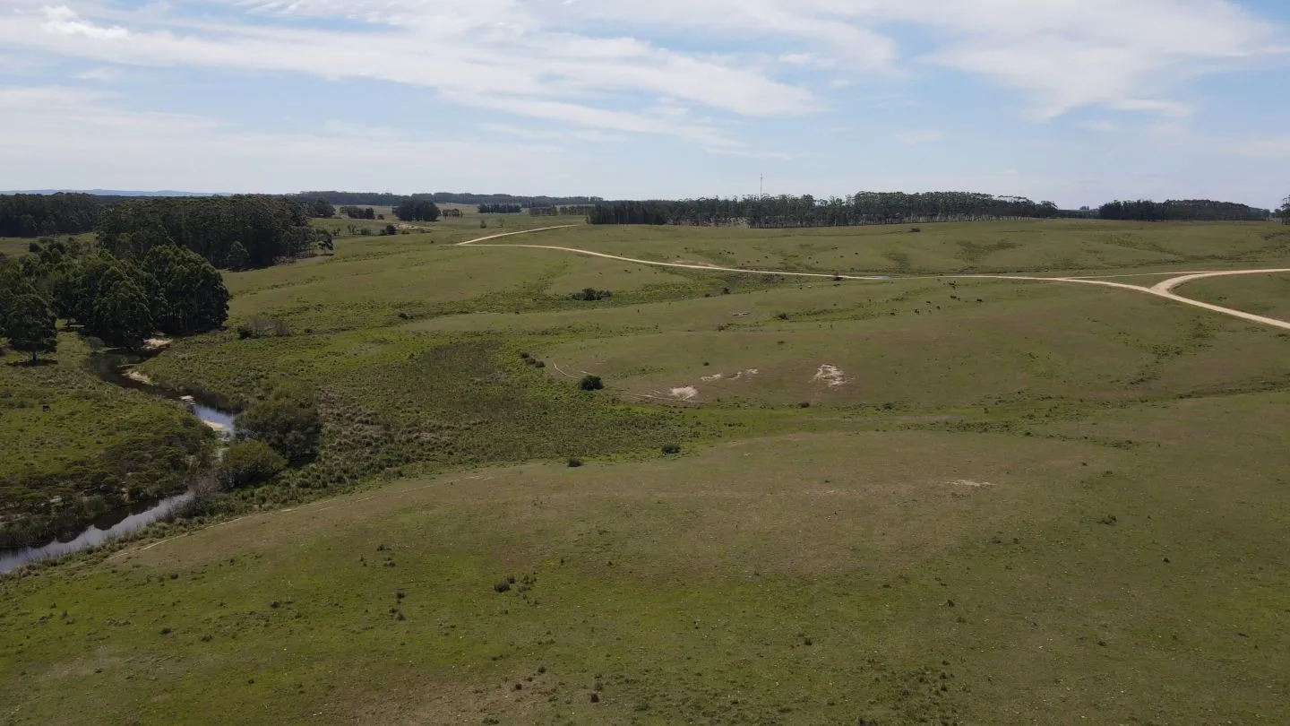 Chacra / Campo 170 ha en José Ignacio — foto 10