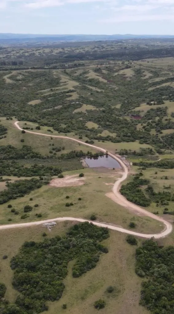 Chacra / Campo 5 ha en José Ignacio — foto 2