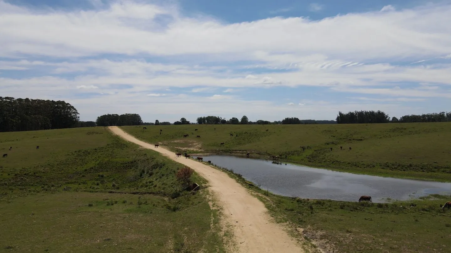 Chacra / Campo 170 ha en José Ignacio — foto 11
