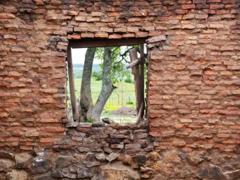 Chacra / Campo 5 ha en José Ignacio — foto 3