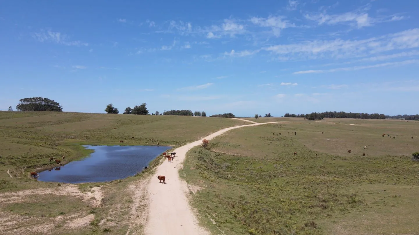 Chacra / Campo 170 ha en José Ignacio — foto 12