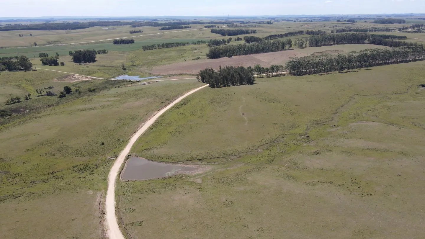 Chacra / Campo 170 ha en José Ignacio — foto 13