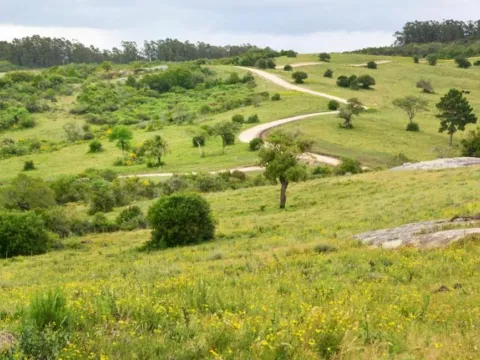 Chacra / Campo 5 ha en José Ignacio — foto 5