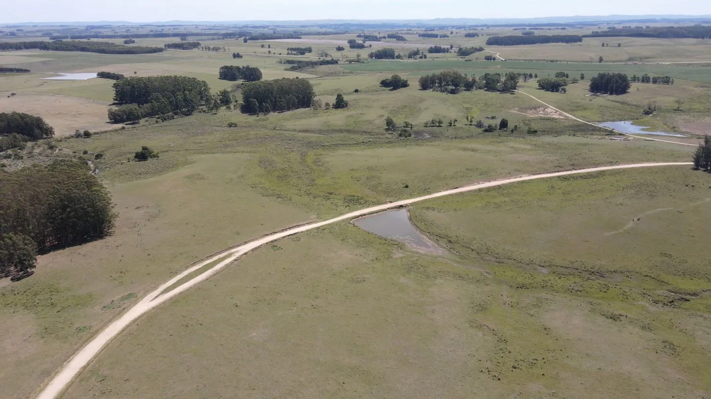 Chacra / Campo 170 ha en José Ignacio — foto 14