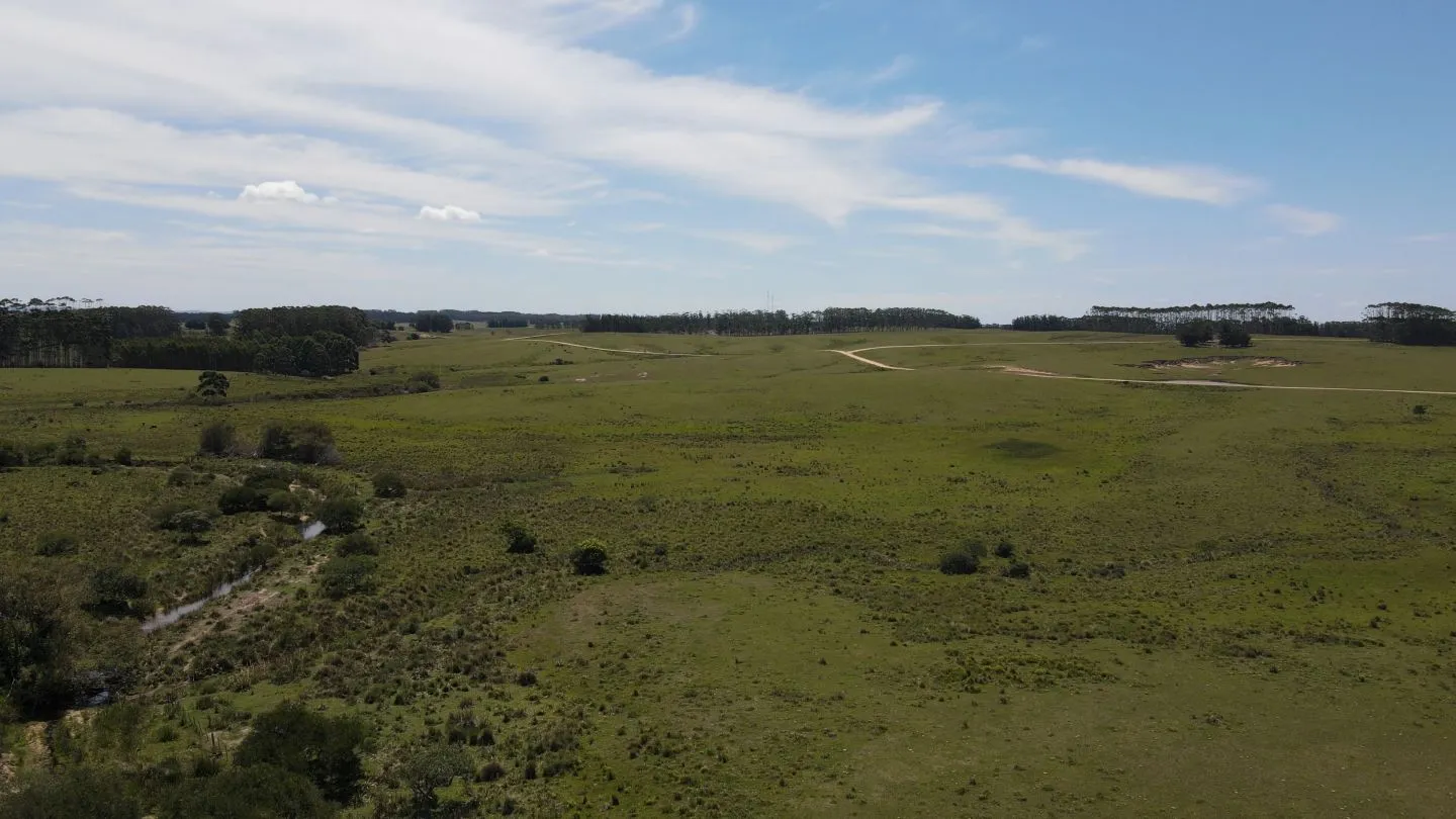 Chacra / Campo 170 ha en José Ignacio — foto 15