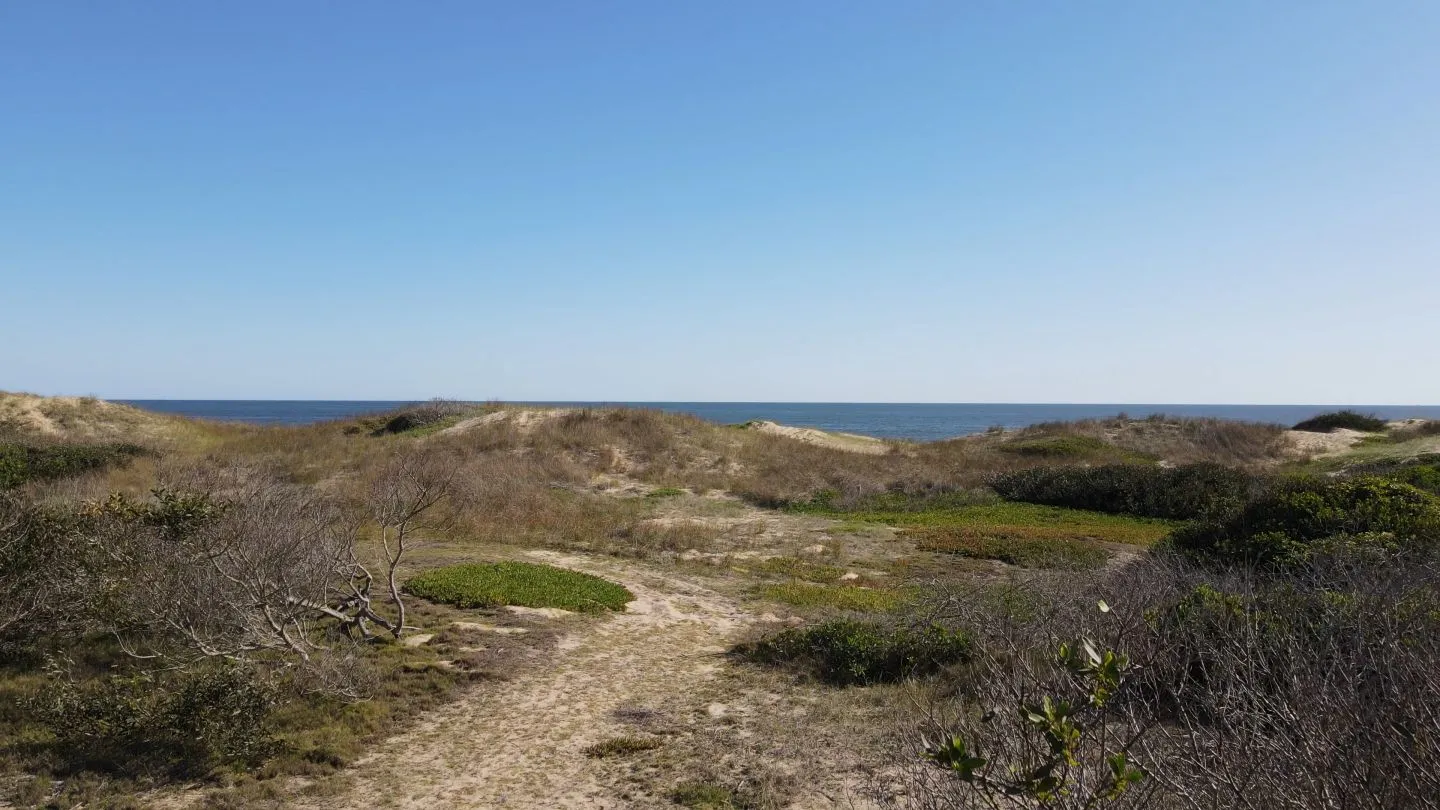 únicos 2000 mts2 sobre el mar en jose Ignacio — foto 17