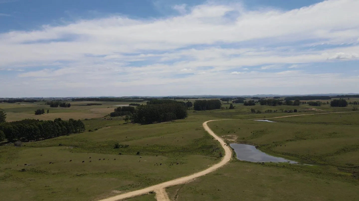 Chacra / Campo 170 ha en José Ignacio — foto 17