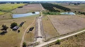Chacra / Campo 5 ha en José Ignacio — foto 11