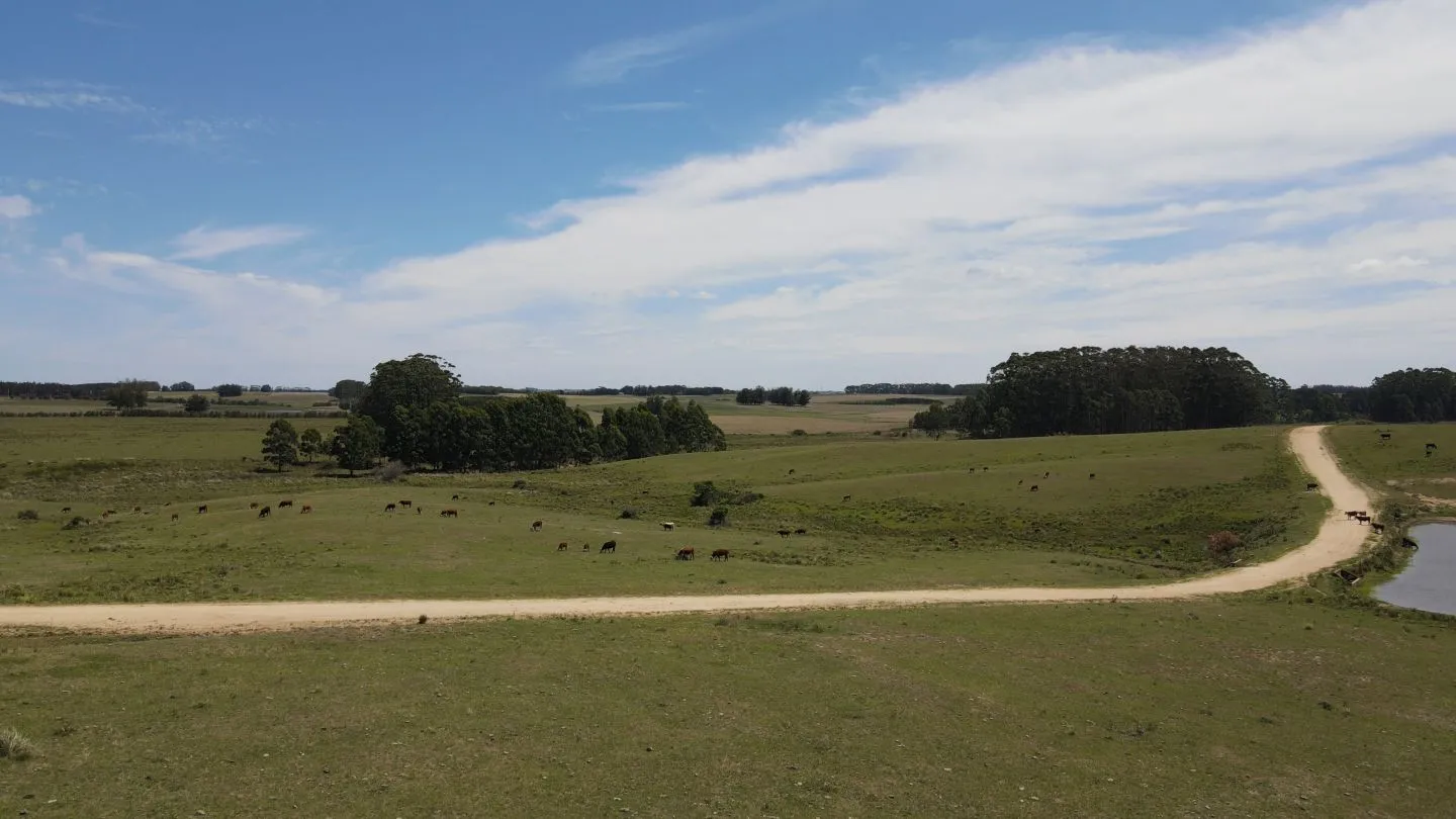 Chacra / Campo 170 ha en José Ignacio — foto 18
