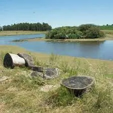 Chacra / Campo 5 ha en José Ignacio — foto 12