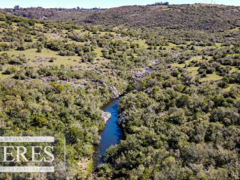 Campo En Villa Serrana ideal para desarrollo turístico 116ha — foto 5
