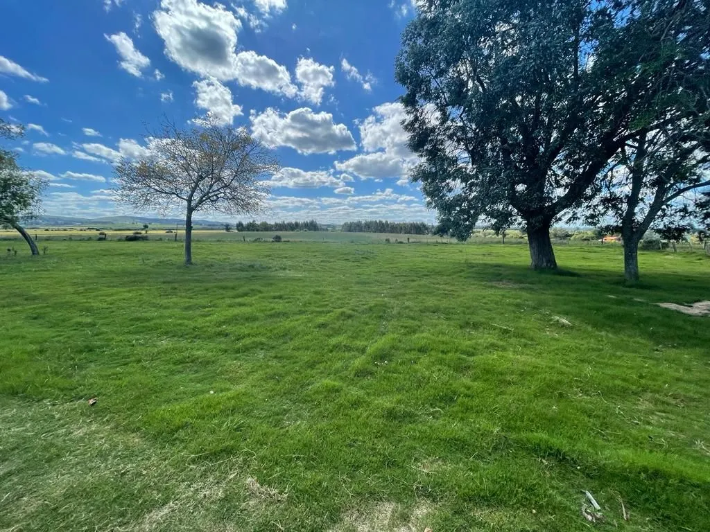 Chacra en venta de 9 ha con casa en Maldonado — foto 6