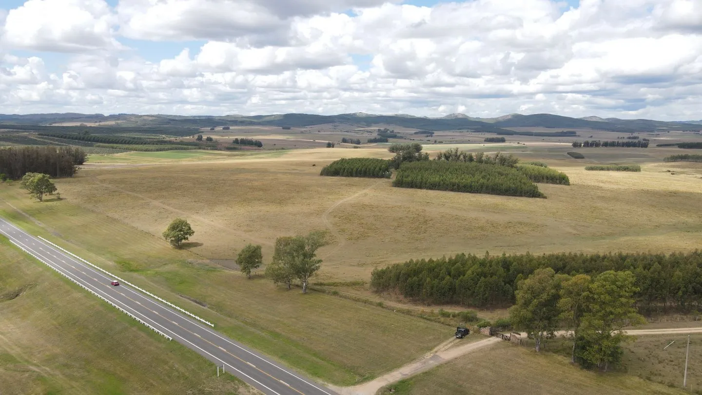 Campo en Lavalleja de 228ha — foto 1