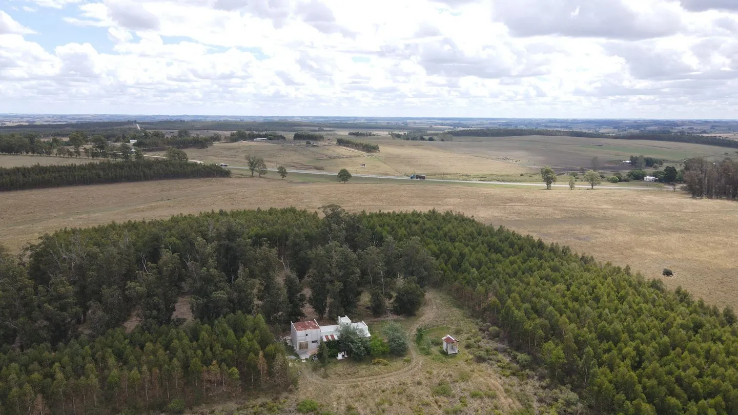 Campo en Lavalleja de 228ha — foto 2