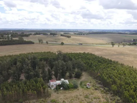 Campo en Lavalleja de 228ha — foto 2
