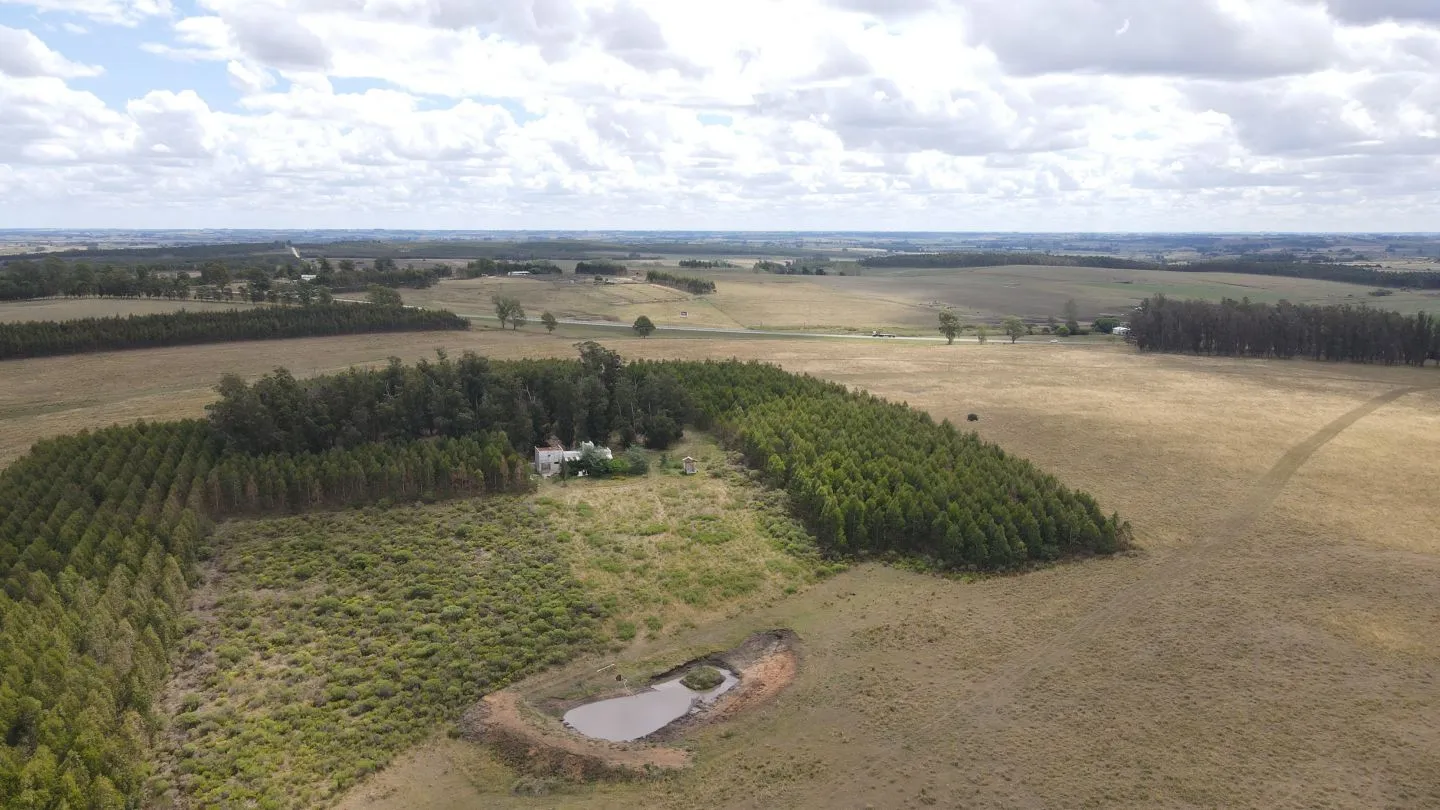 Campo en Lavalleja de 228ha — foto 3