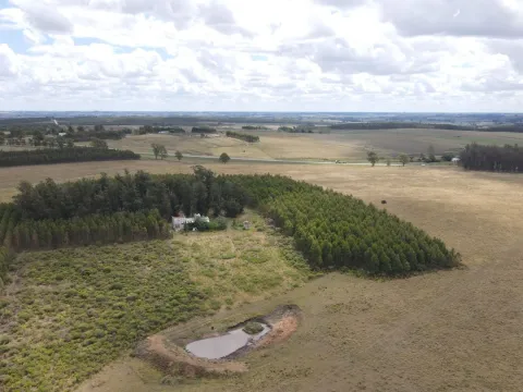 Campo en Lavalleja de 228ha — foto 3