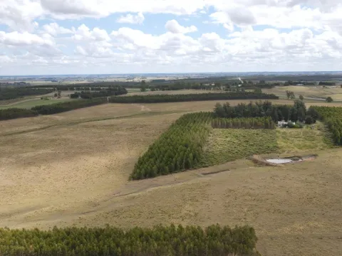 Campo en Lavalleja de 228ha — foto 4