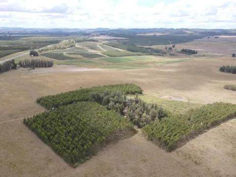 Campo en Lavalleja de 228ha — foto 5
