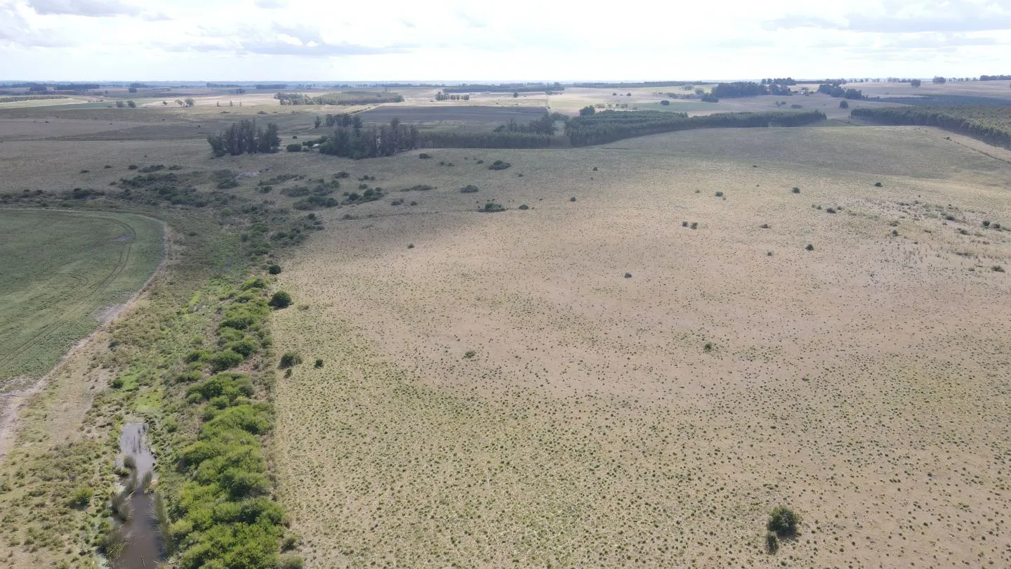 Campo en Lavalleja de 228ha — foto 6
