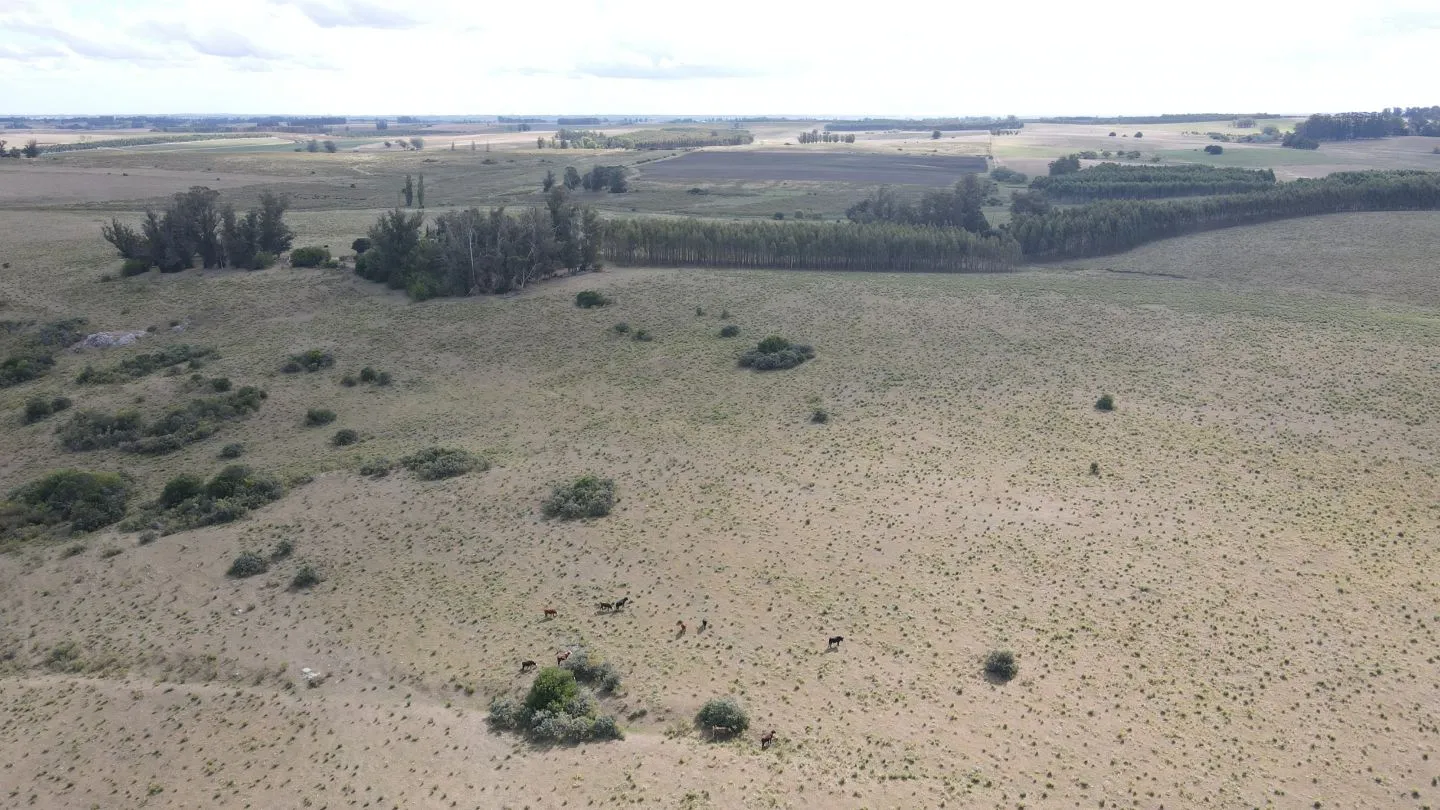 Campo en Lavalleja de 228ha — foto 7