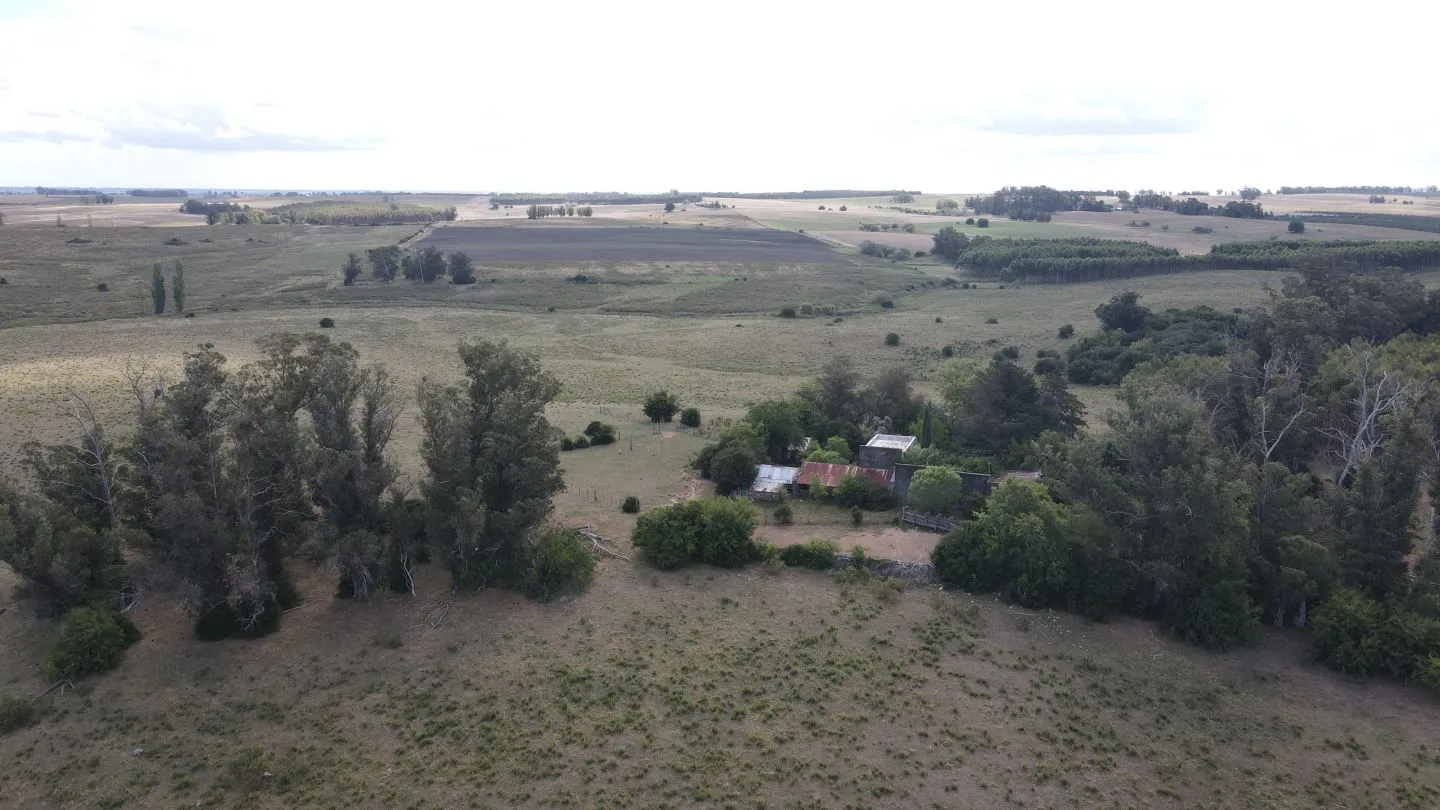 Campo en Lavalleja de 228ha — foto 8