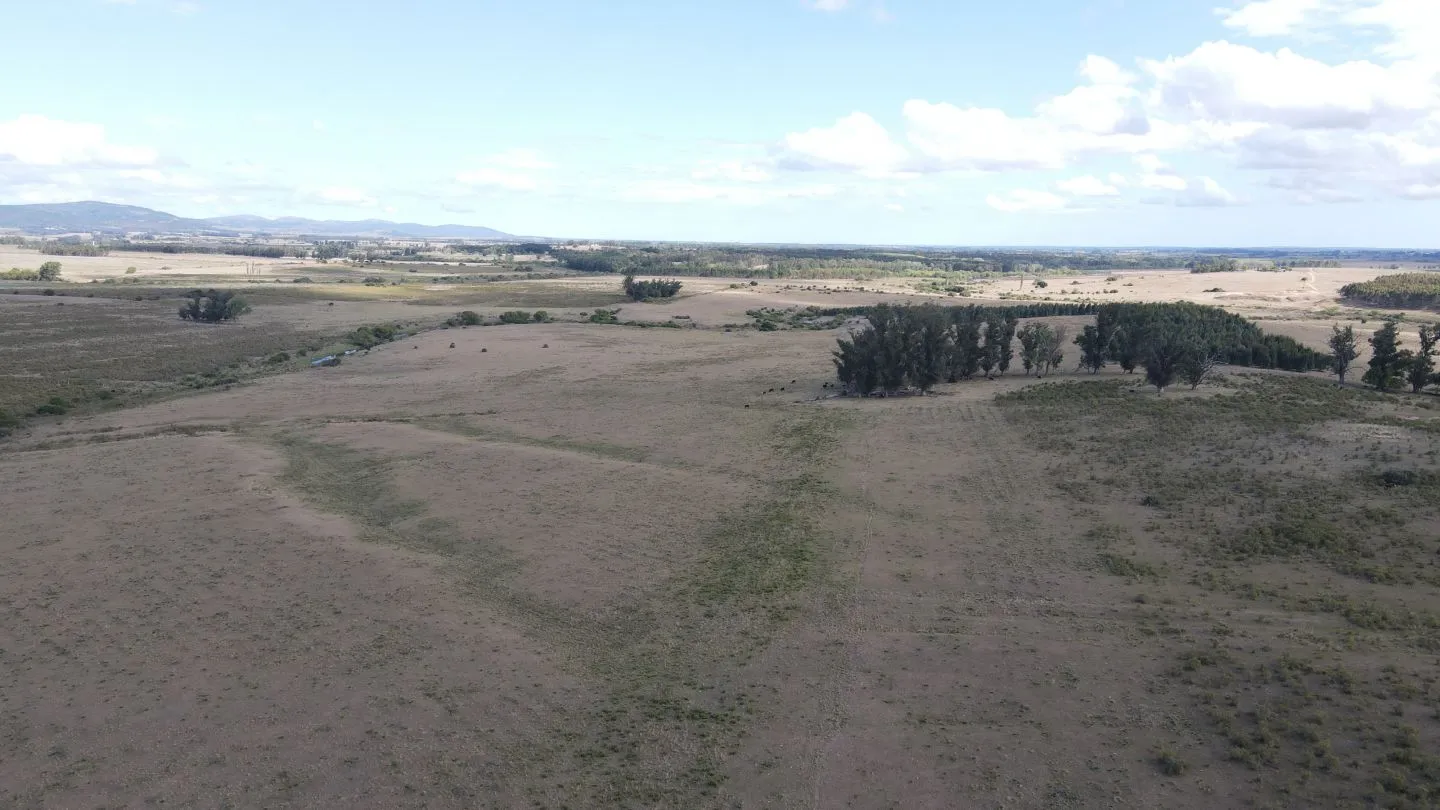 Campo en Lavalleja de 228ha — foto 9