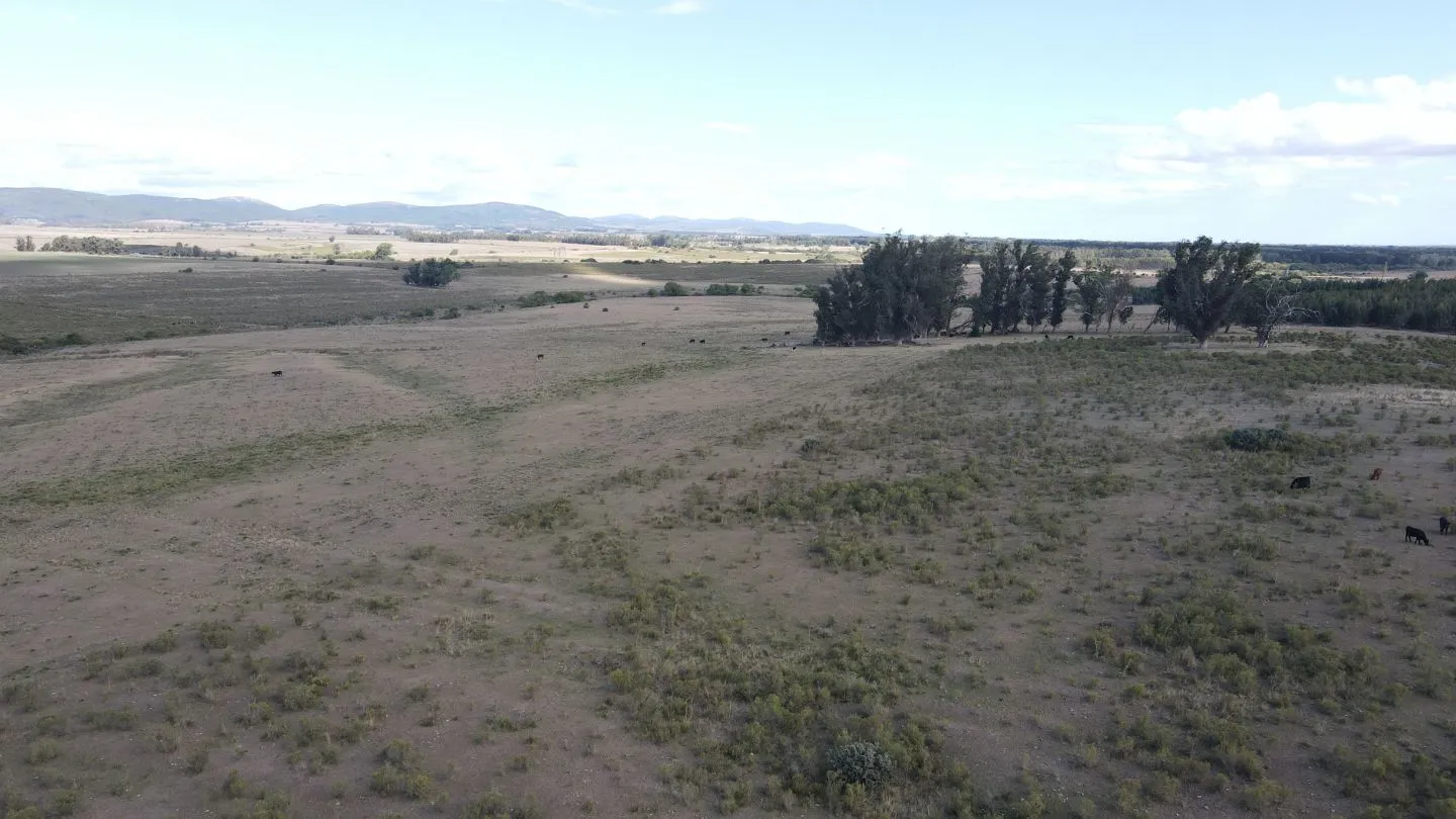 Campo en Lavalleja de 228ha — foto 11