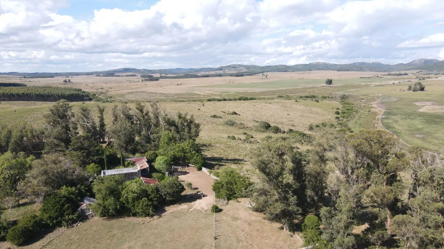 Campo en Lavalleja de 228ha — foto 12