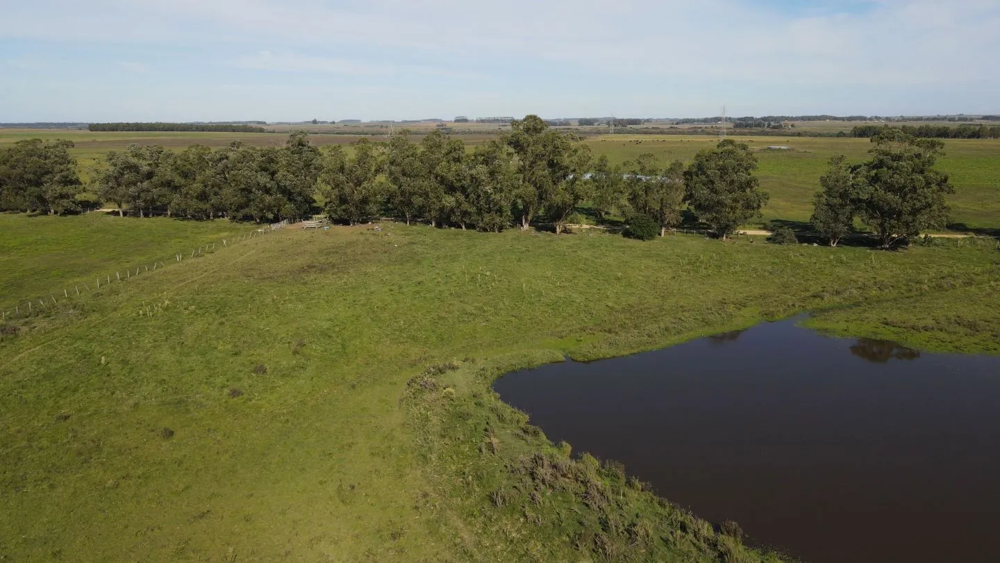 Chacra / Campo 270 ha en Rocha — foto 1