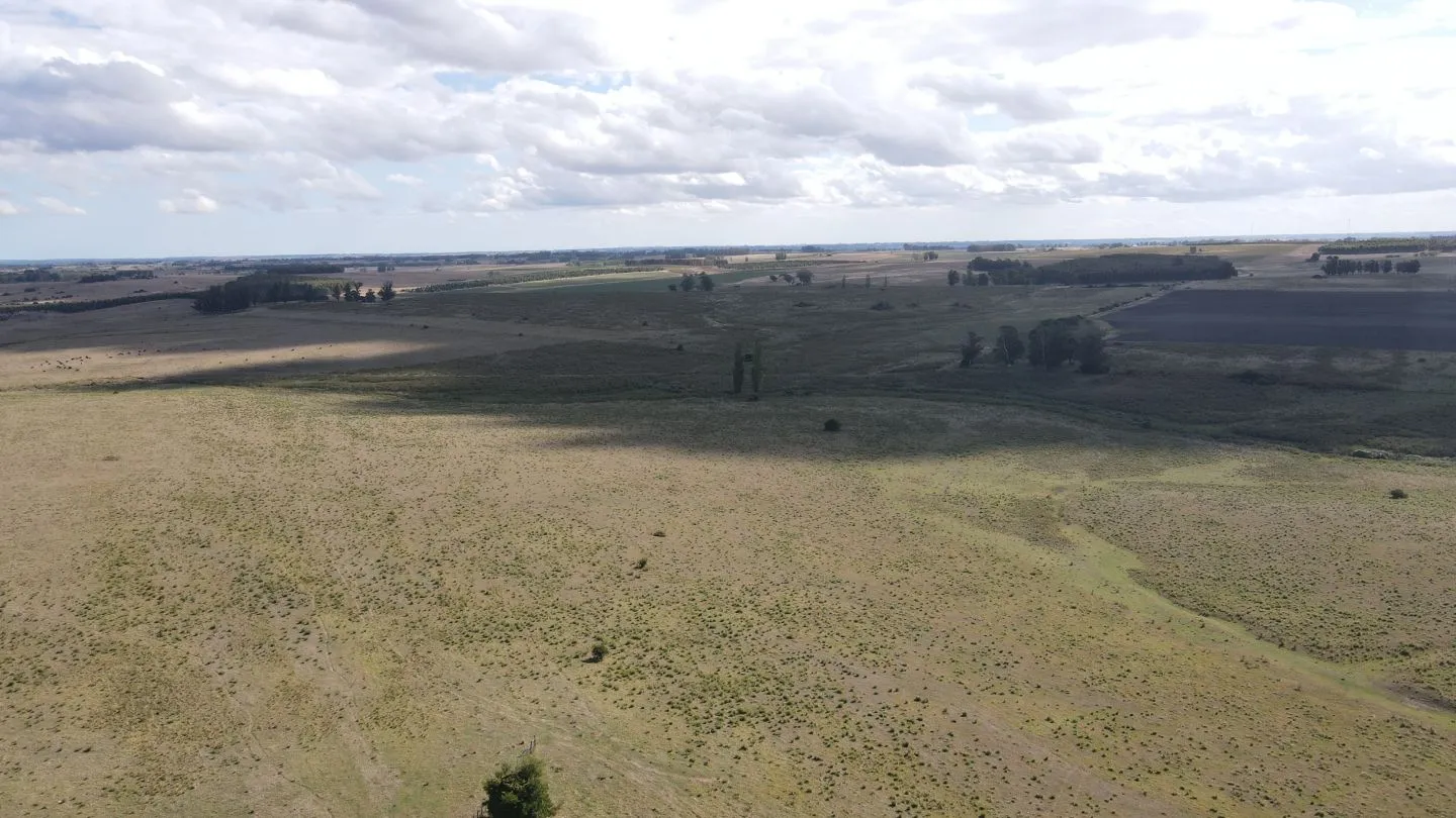 Campo en Lavalleja de 228ha — foto 14