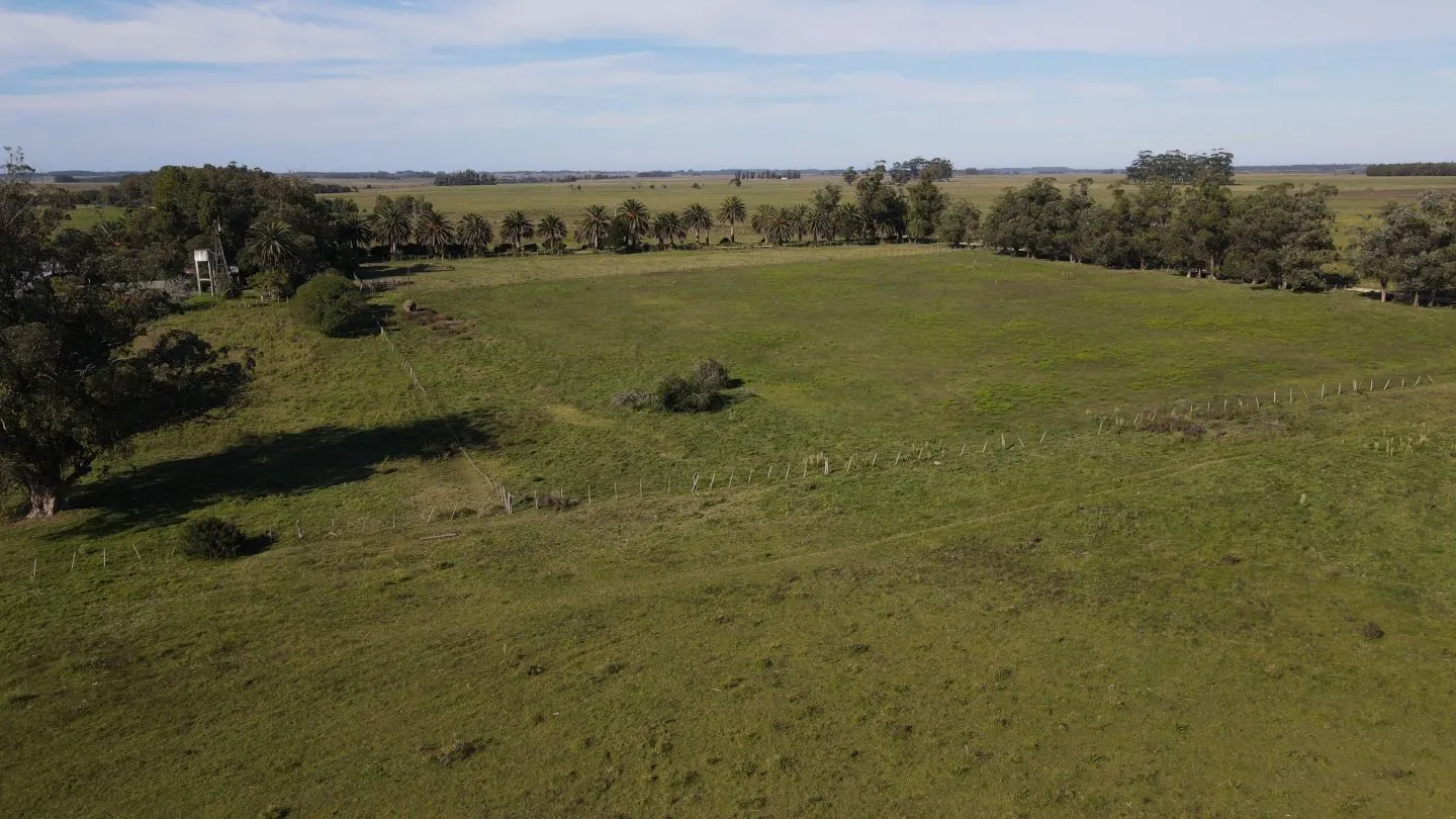 Chacra / Campo 270 ha en Rocha — foto 2