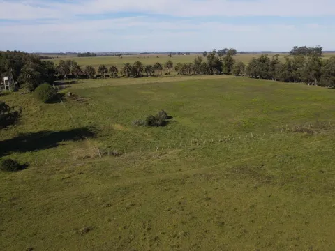 Chacra / Campo 270 ha en Rocha — foto 2