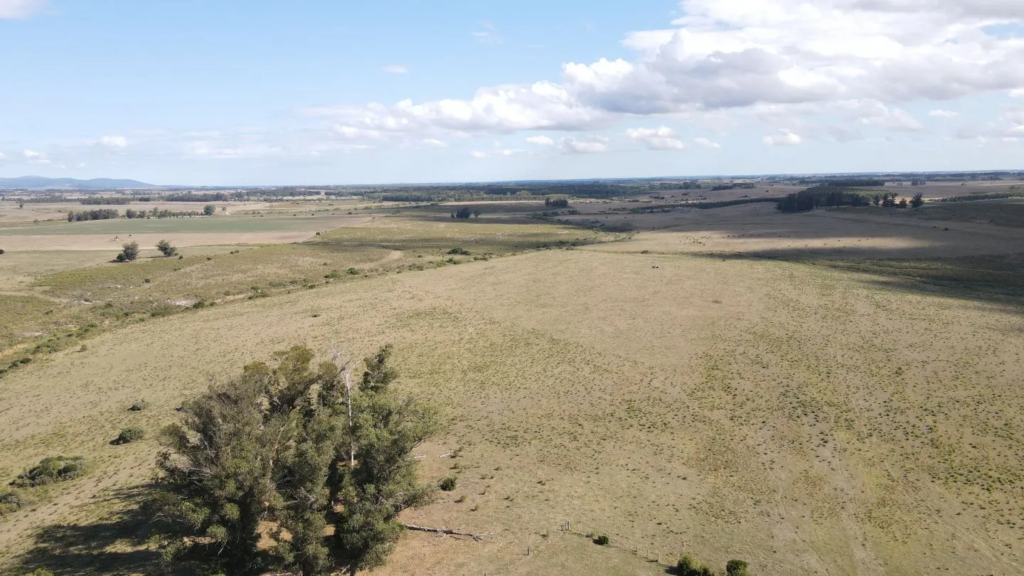 Campo en Lavalleja de 228ha — foto 15