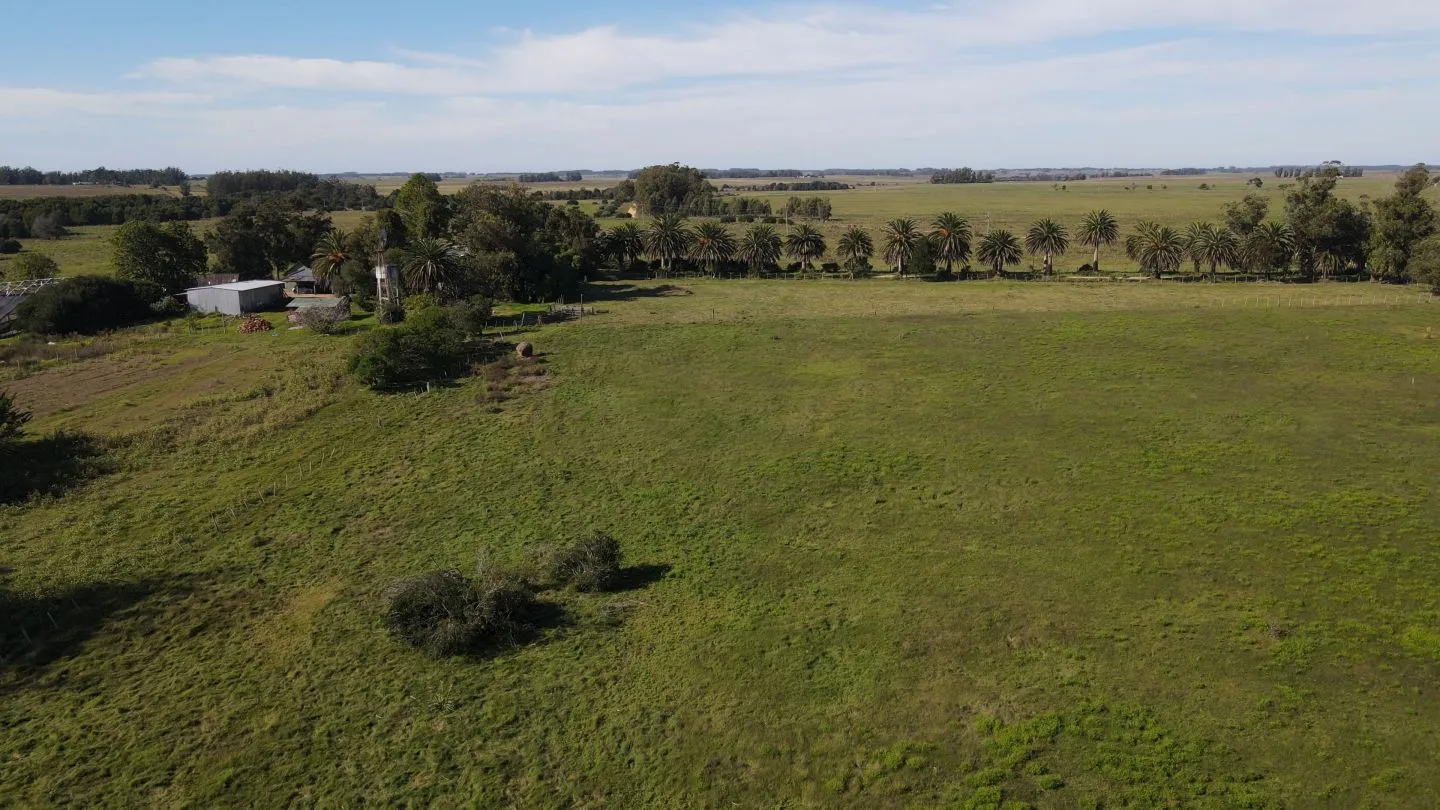 Chacra / Campo 270 ha en Rocha — foto 3