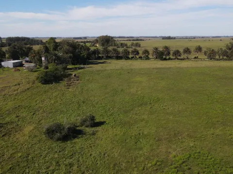 Chacra / Campo 270 ha en Rocha — foto 3