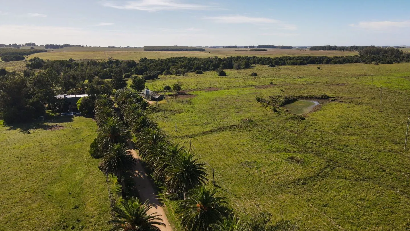 Chacra / Campo 270 ha en Rocha — foto 4
