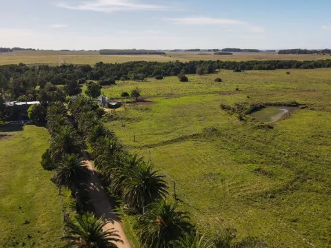 Chacra / Campo 270 ha en Rocha — foto 4