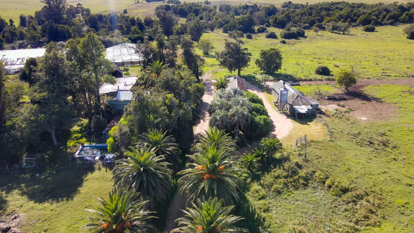 Chacra / Campo 270 ha en Rocha — foto 5