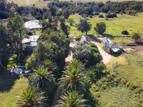 Chacra / Campo 270 ha en Rocha — foto 5