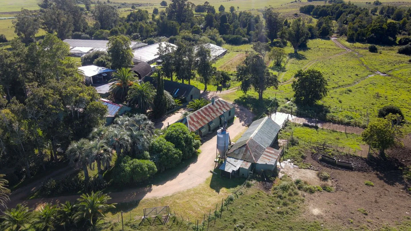 Chacra / Campo 270 ha en Rocha — foto 8