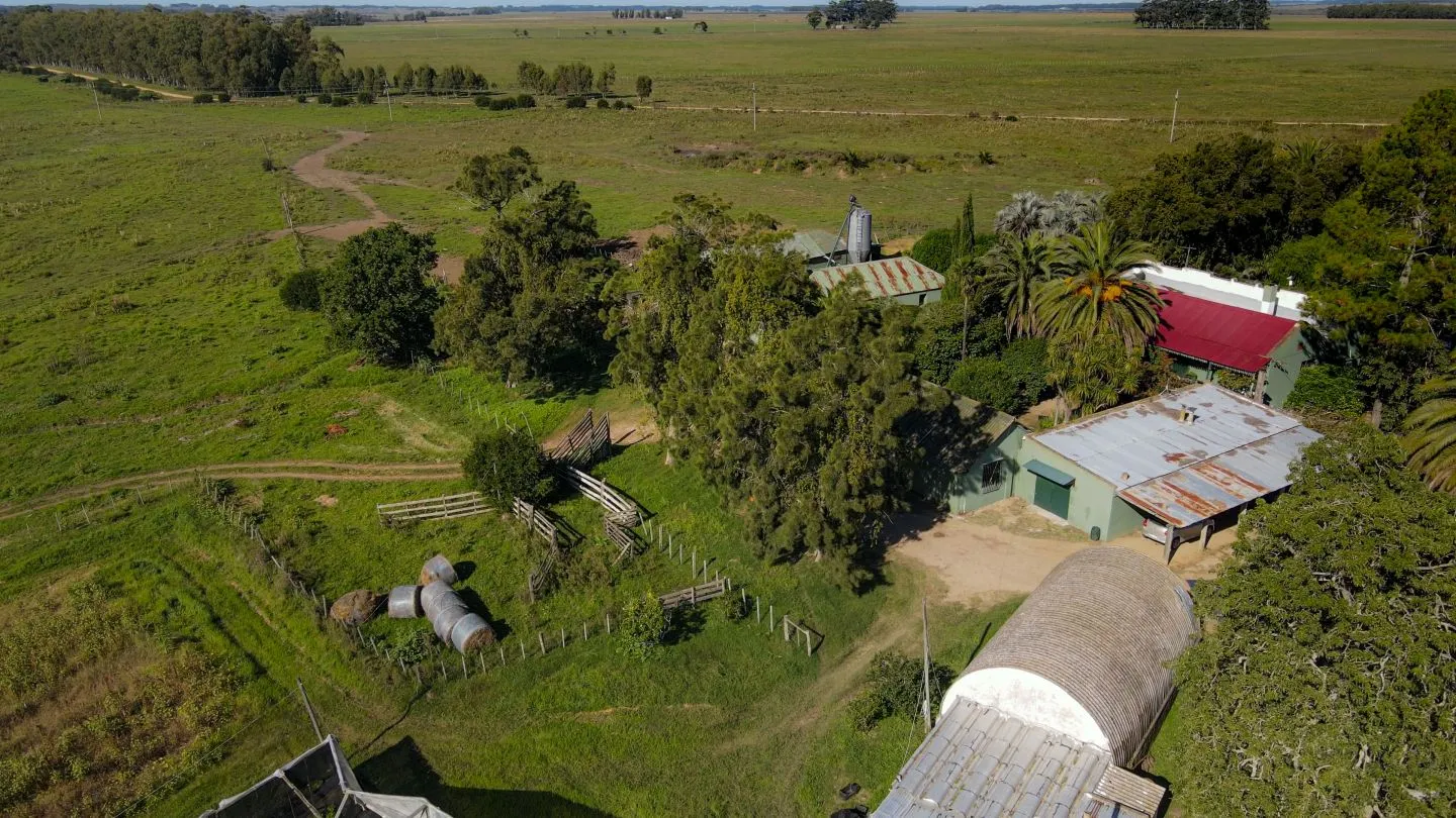 Chacra / Campo 270 ha en Rocha — foto 11