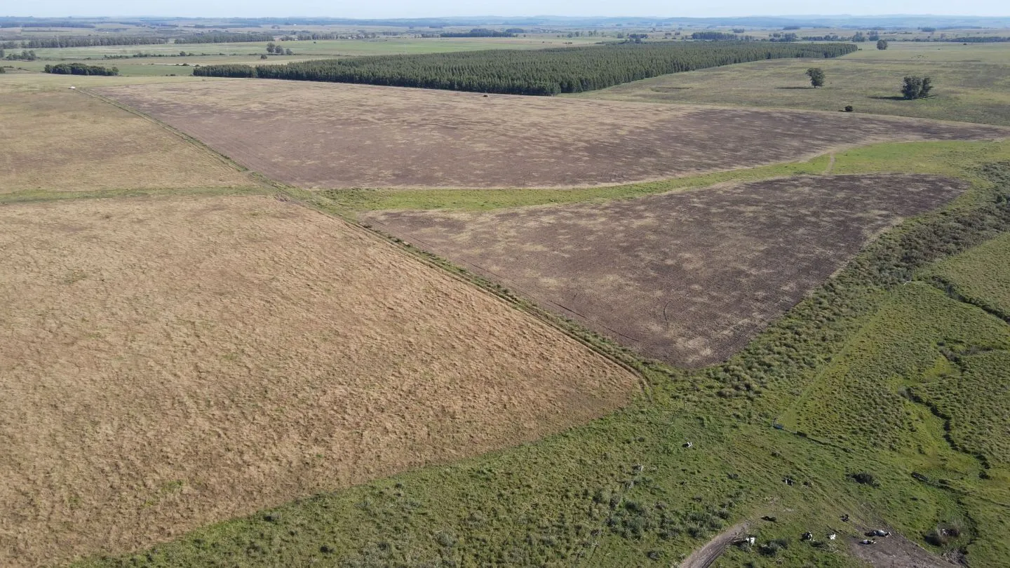 Chacra / Campo 270 ha en Rocha — foto 17
