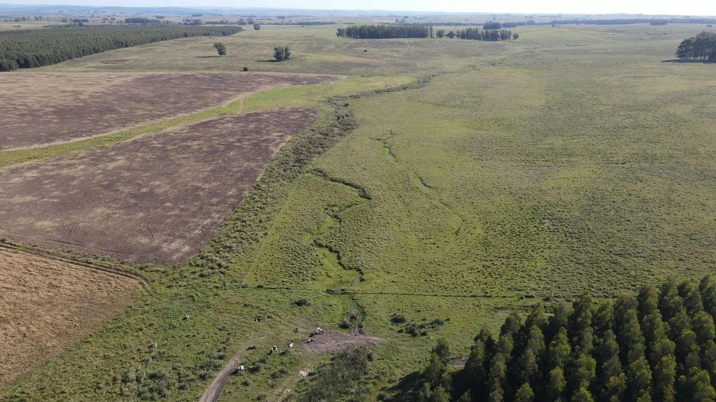 Chacra / Campo 270 ha en Rocha — foto 18