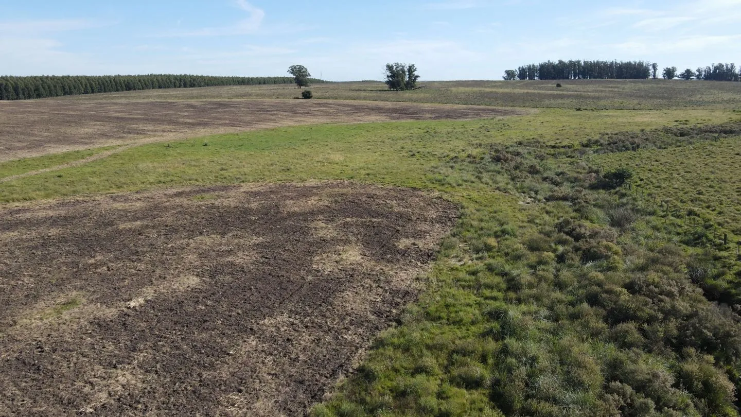 Chacra / Campo 270 ha en Rocha — foto 19