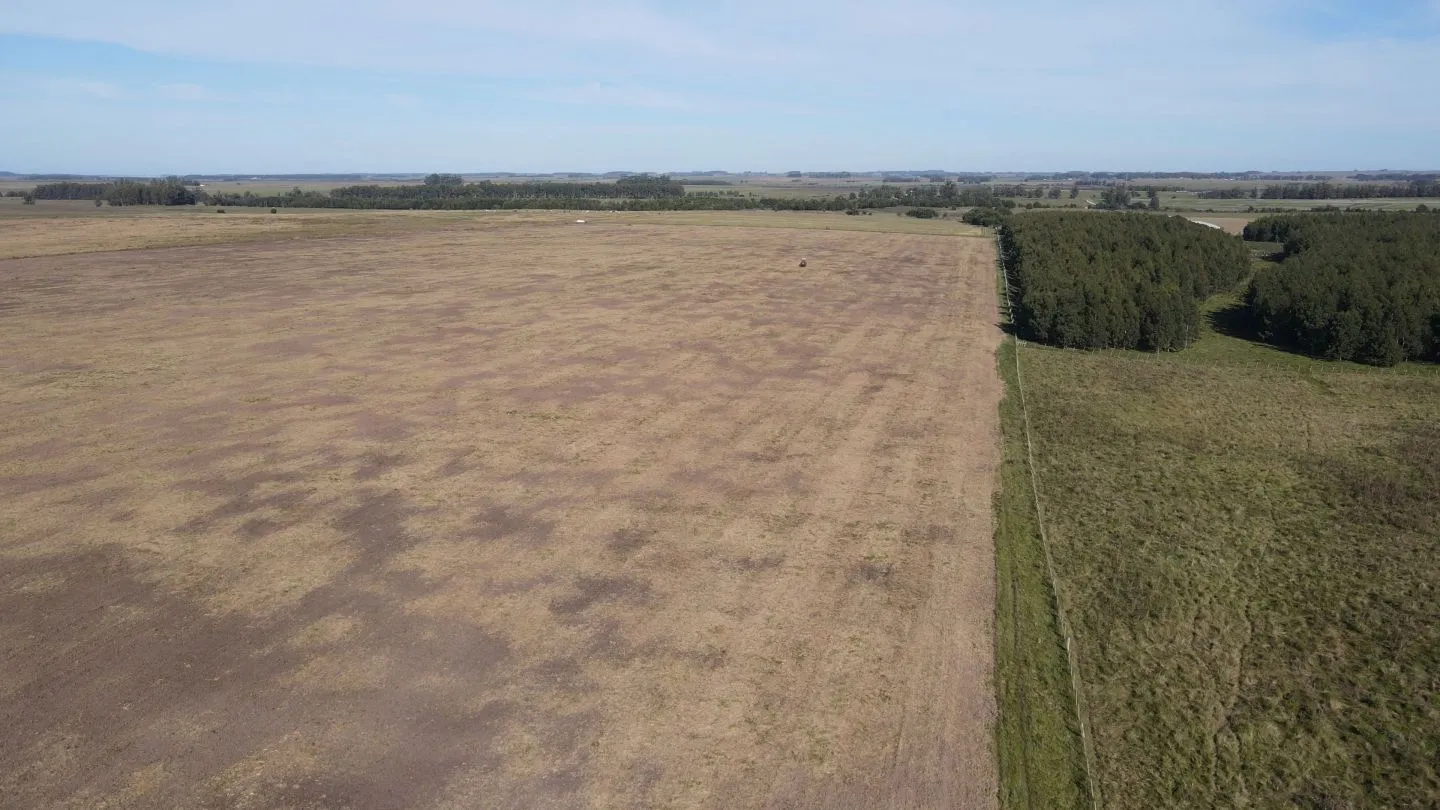 Chacra / Campo 270 ha en Rocha — foto 20
