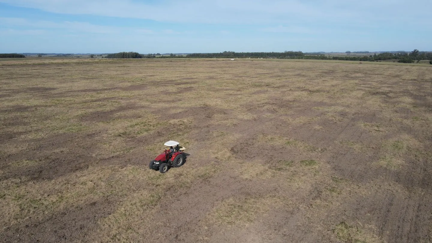 Chacra / Campo 270 ha en Rocha — foto 21